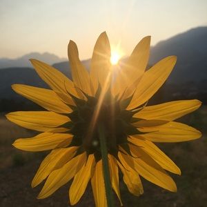 Meet your Posher, Carlie